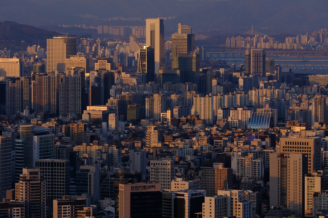 여의도 점심