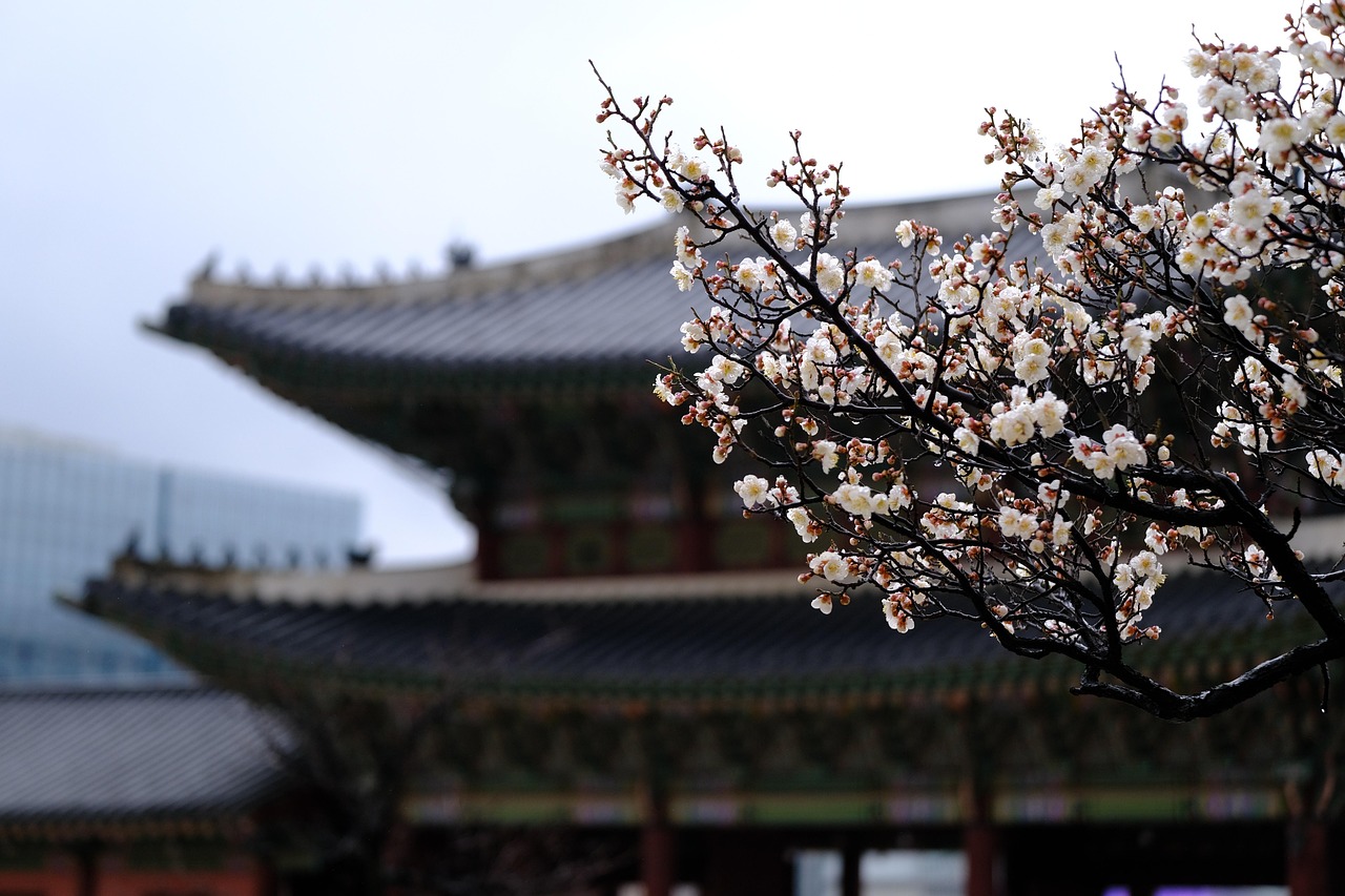 한옥체험