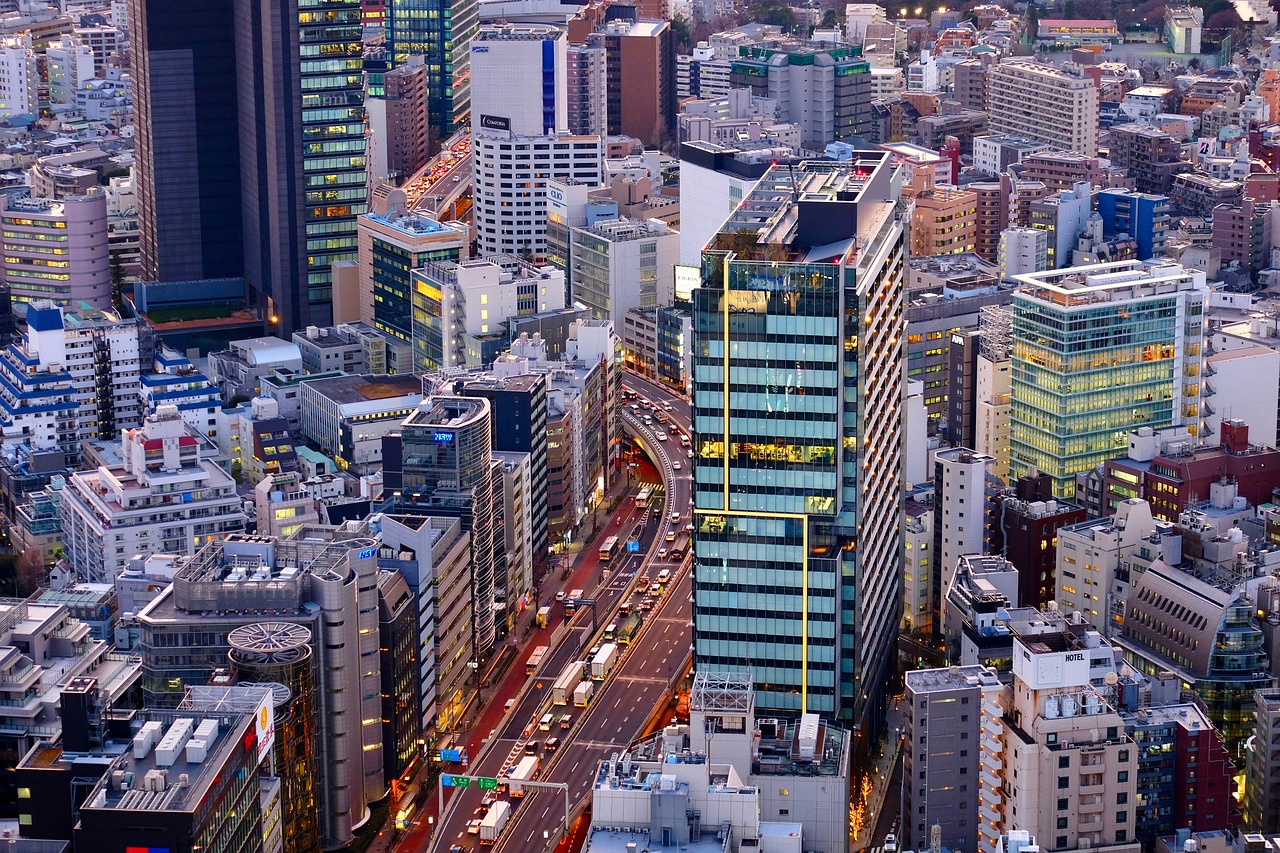 출산 후 보약
