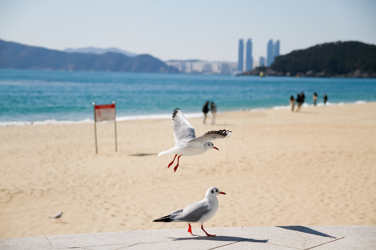 부산 회식