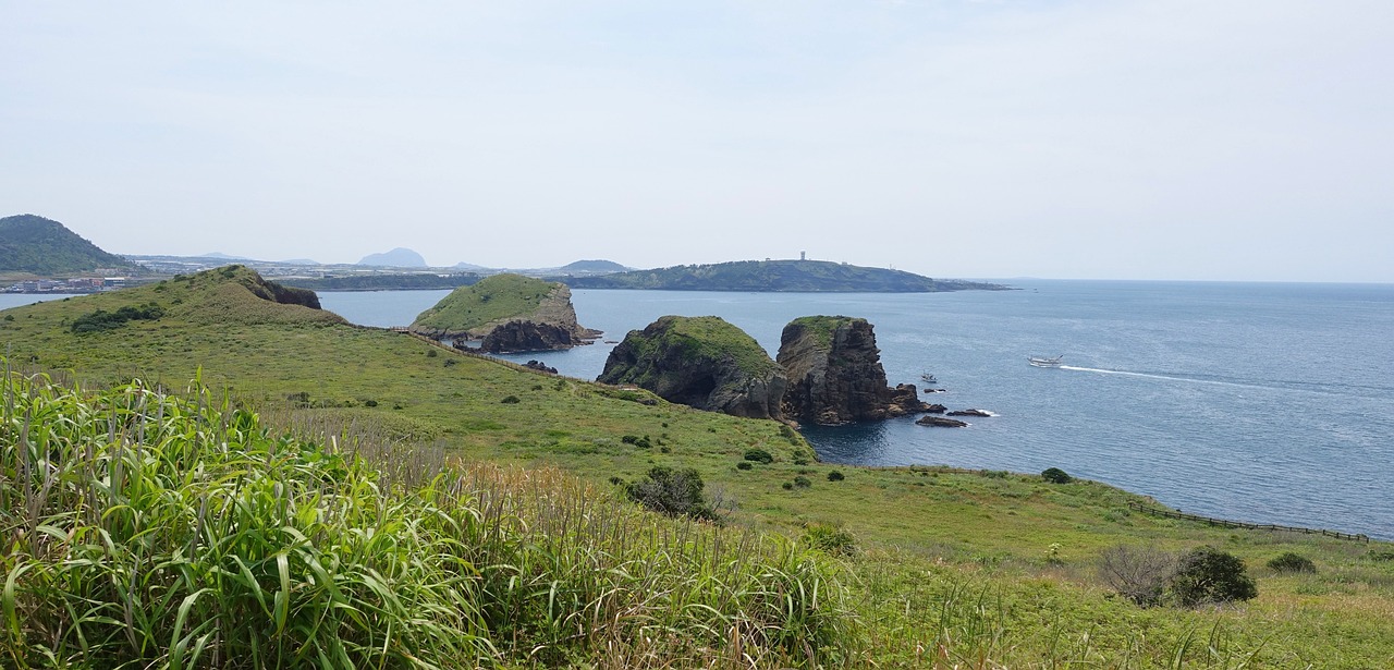 제주 패키지