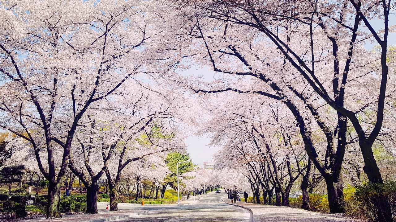 대구 갑상선병원