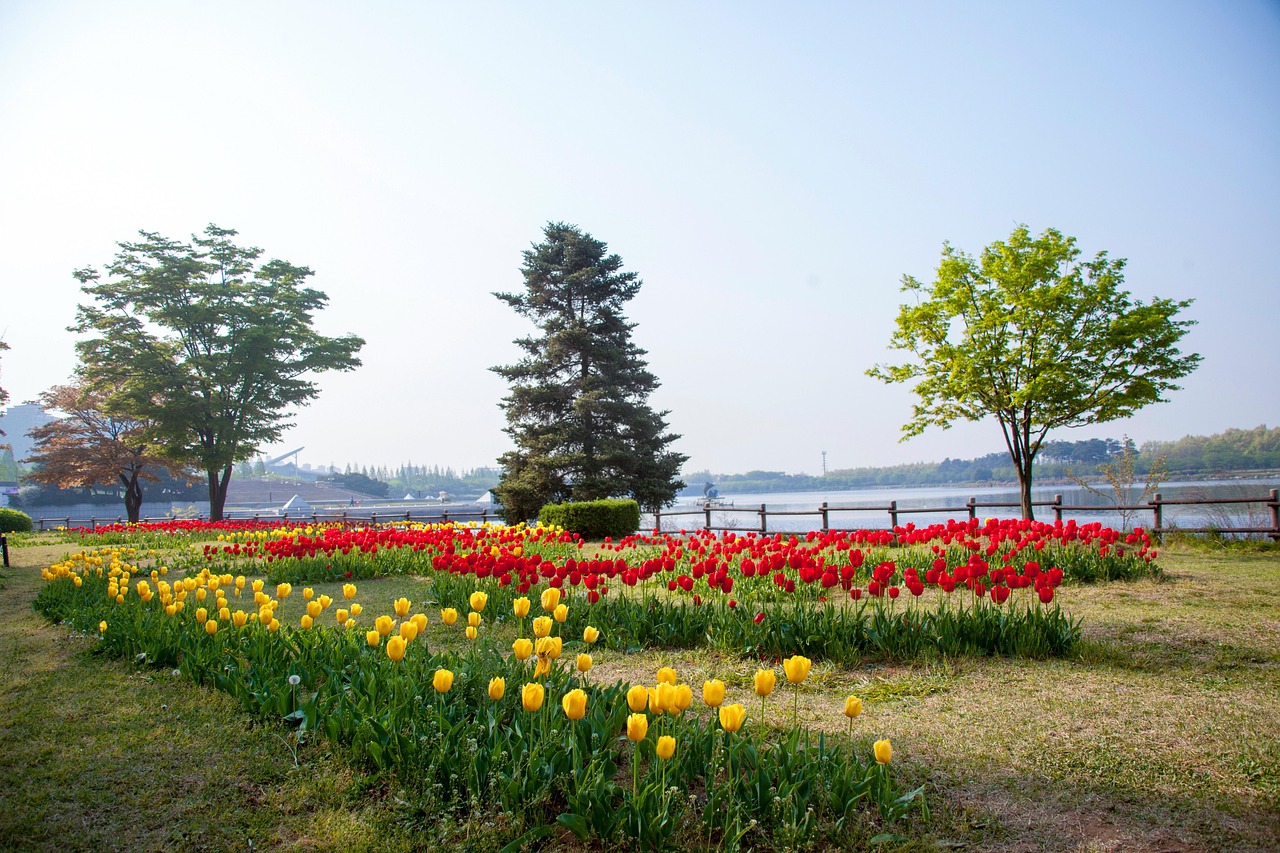 일산 회식